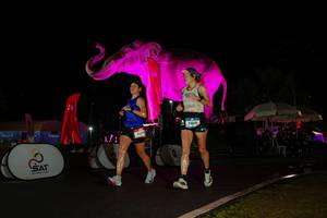 BIB: 
                            <button type="button" onclick="openModal(26543676)" class="btn btn-primary btn-sm float-right btn-popup" data-toggle="modal" data-target=".modal-high-quality">
                        <i class="fas fa-shopping-cart"></i> Add to Cart
                    </button>
                                            <button type="button" onclick="isThisMe(26543676, true)" class="btn btn-success btn-sm float-right btn-popup btn-isme hidden" data-toggle="tooltip" data-placement="bottom" title="นี่คือรูปของคุณใช่ไหม คลิกที่นี่เพื่อเอาเข้าอัลบั้ม">
                        <i class="fas fa-plus"></i> Add to album
                    </button>
                    <button type="button" onclick="isThisMe(26543676, false)" class="btn btn-warning btn-sm float-right btn-popup btn-isnotme hidden">
                        <i class="fas fa-ban"></i> Remove from album
                    </button>